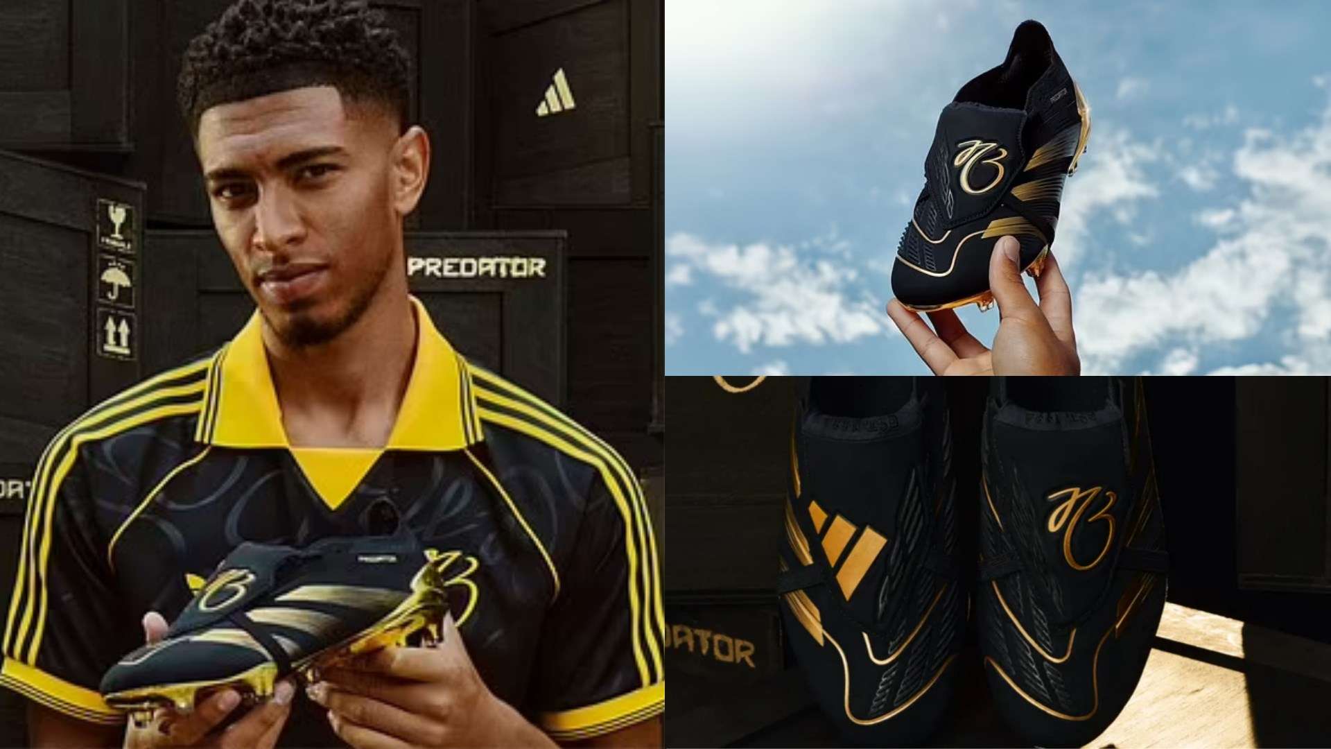 球历史上的 球历史上的