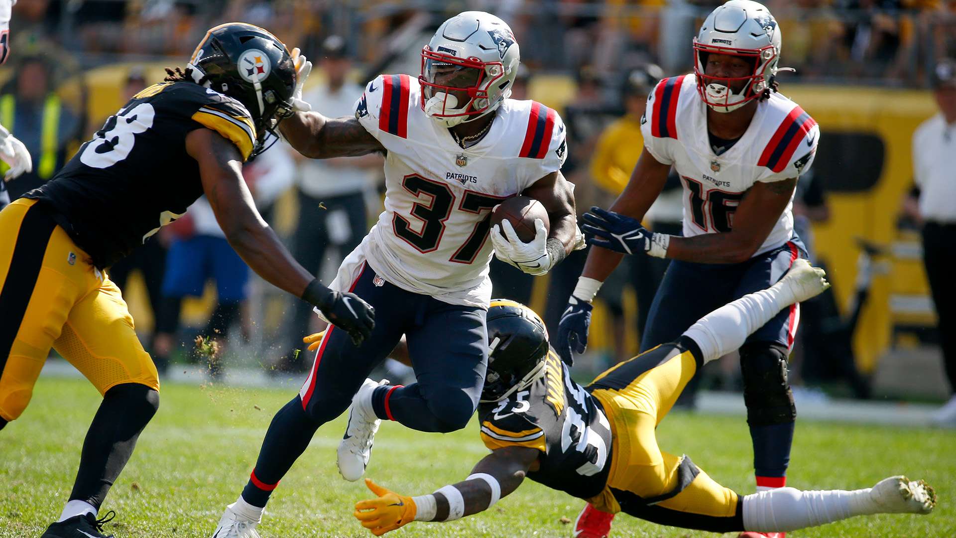 判断力和身 判断力和身