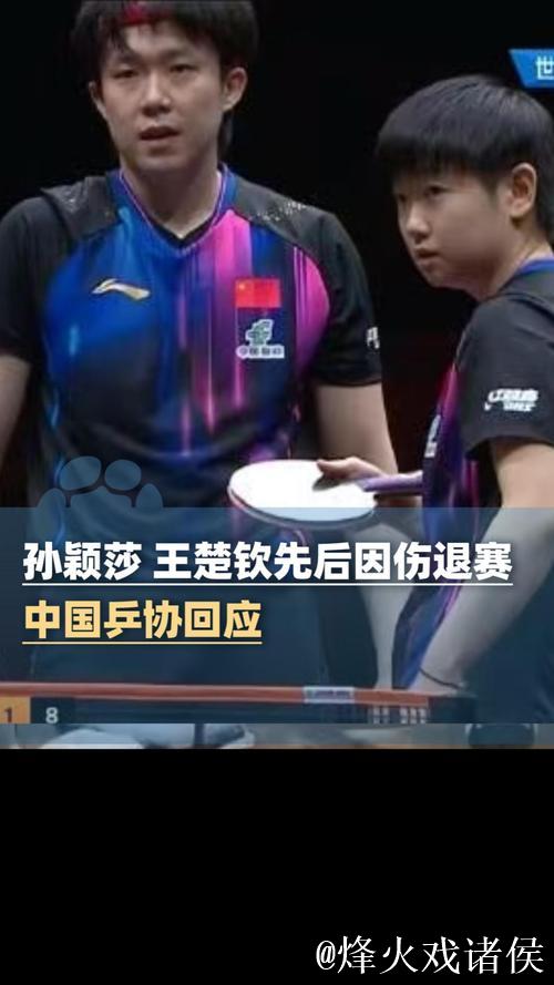 孙颖莎王楚钦因伤退赛,乒乓球商业化难题再显 孙颖莎王楚钦因伤退赛,乒乓球商业化难题再显